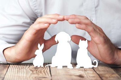 Is it possible to make vet bills less brutal?