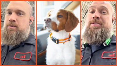 Toyota mechanic warns keep pups away from this part of your car or the results could be ‘shocking’