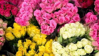 Valentine's spending slows but love remains priceless