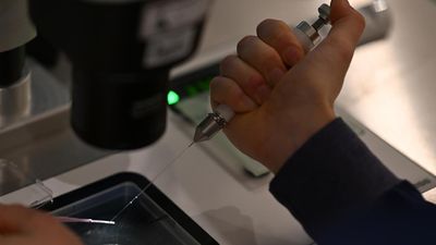 Finally: generational shift here for women in science