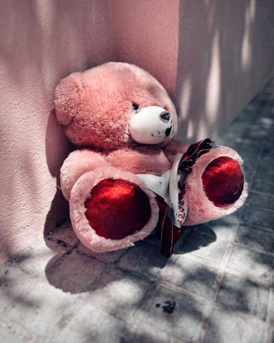 ‘The bear feels comfortable and uncomfortable. It’s a bittersweet moment’: Iñigo Jerez Quintana’s best phone picture