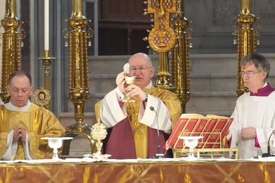 Church must learn from abuse victims, new Catholic leader says at installation