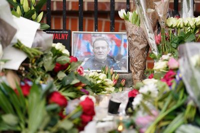 Who was Alexei Navalny and why would Russia poison him?