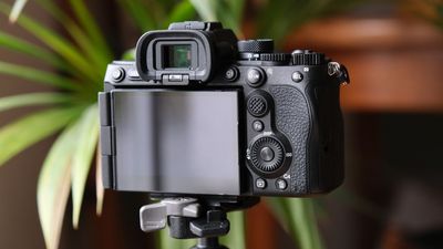 After a blockbuster debut, this mirrorless tops Japan's best-selling chart again… but a compact camera is now breathing down its neck