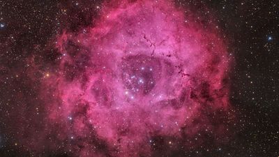 Single this Valentine's Day? Don't worry, the universe has a rose just for you (photo)