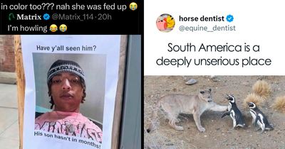 30 Funny Tweets For Anyone Who’s Tired Of The Depressing News