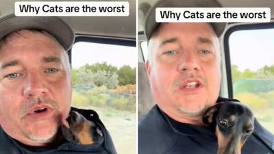 “Cats have no manners,” Man says as his dog crawls inside his shirt