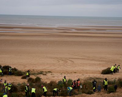 Tinsel to tidewall: discarded Christmas trees reused to protect Lancashire coastline