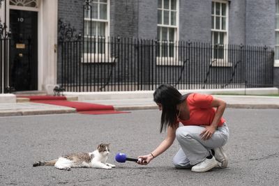 Larry the cat marks 15 years as No 10’s chief mouser