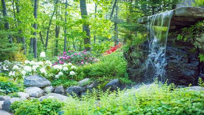 Explore Coastal Maine Botanical Gardens – 5 Stunning Highlights to Inspire Your Backyard
