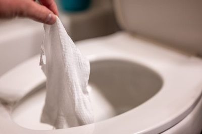 7 Things Plumbers Say You Should Never Flush — Even If the Package Claims It’s Safe