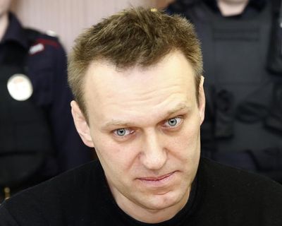 UK considers new Russia sanctions after Navalny frog toxin finding