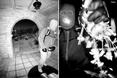 DNA pulled from glove found near Nancy Guthrie’s home as FBI believe it may belong to suspect seen in doorbell cam