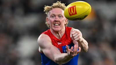 Former Dees star to emulate Hogan in AFL career reboot