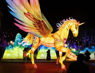 China hopes for a bumper lunar new year as world’s biggest migration begins