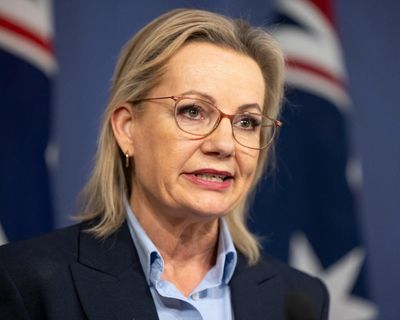 Ley’s shadow immigration minister ‘never agreed’ to unreleased Liberal plan to ban migrants from Gaza and Somalia