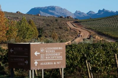 UCI Gravel World Series: Hayley Preen attacks on Uitkyk Pass to claim win at The Ceder while Filippo Colombo scores maiden gravel victory