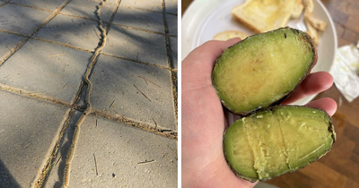 88 Times People Spotted Something Interesting And Had To Share It