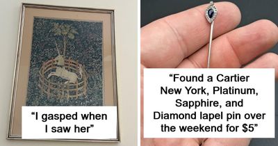 “Made Me Laugh So I Had To Get It”: 44 People Whose Thrift Store Visits Made Their Weeks (New Pics)