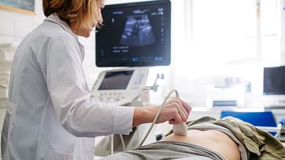 What happens to frozen eggs and embryos when they are no longer needed?