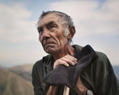 Grim reapers: what has fertilised the rich new wave of neo-rural cinema?