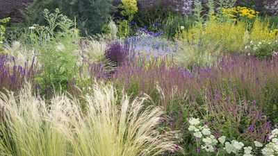 8 Plants That Reliably Thrive in Walled Gardens, Whatever the Style or Size of Your Space