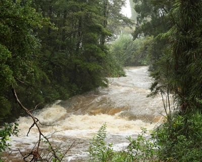 Weather tracker: New Zealand hit by storms and widespread floods