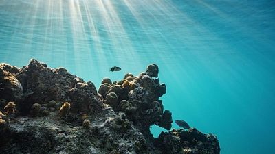 Tiny island’s climate reparations proposal labelled 'major threat' to US industry