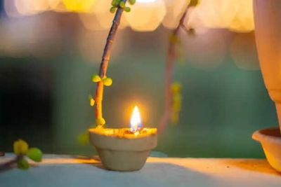 Why People Light a Diya Under Tulsi Daily
