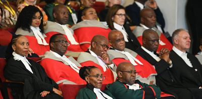 Mediation can speed up justice in South Africa: legal scholar makes the case