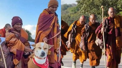 Rescue dog Aloka wins hearts nationwide during 3,000-km walk of peace to Washington, D.C.