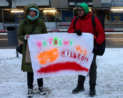 Was Navalny poisoning by frog toxin meant to send a message?