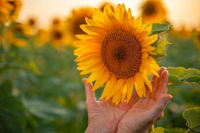 Impatient Gardeners: 7 Plants That Will Grow Faster Than You’d Think