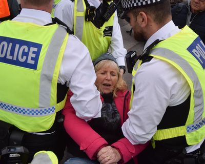 The Guardian view on Palestine Action: banning the group was a step too far