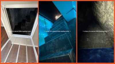 ‘Well, you “had” a panic room’: TikTok informs woman that secret room in her house is not a ‘cute’ reading room