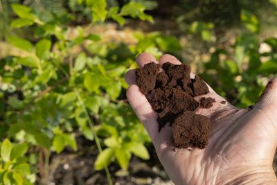 These 10 Garden Hacks Are Going Viral — But Experts Say Some Are Ruining Soil Health