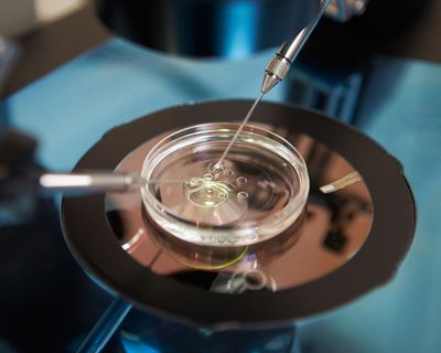 Fertility patients win high court battle to save embryos after consent error