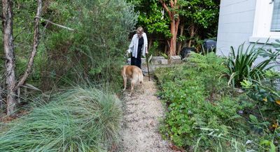 ‘What do we want gardens to sound like?’ It began with a frog pond – then suburban rewilding became an obsession