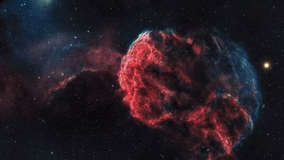 "It looks like a jellyfish, but it's not – it's the remains of an exploding star. This photo looks straight out of Star Trek!"