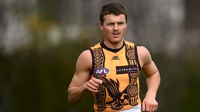 Hawks livewire Ginnivan has new AFL role on radar