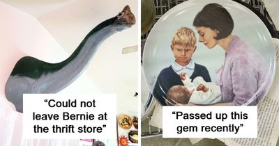 People Are Sharing The Wackiest Things They Spotted At A Thrift Store And These 68 Are Unhinged