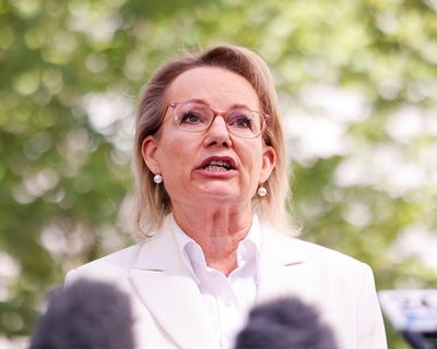 How a hardline ‘Trump-style’ Liberal immigration policy to ban migrants from Gaza and Somalia was developed