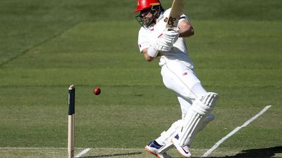 Lehmann, bowlers give South Australia edge over Bulls