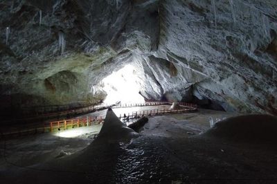 Ancient bacteria found frozen in cave resistant to 10 types of antibiotics