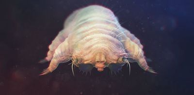 You are covered in mites – and most of the time that’s completely normal