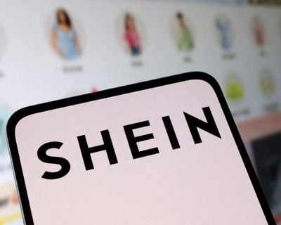 EU to investigate Shein over sale of childlike sex dolls and weapons