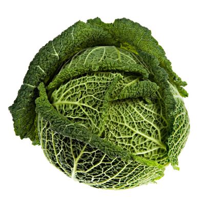 Cabbagecore: why are fashionable people going wild for the green vegetable?