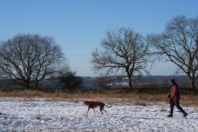 Cold weather alert issued as snow forecast to hit UK