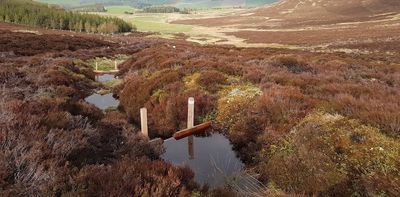 Why coping with heavy rain in Scotland’s whisky country shows how to save water for the summer