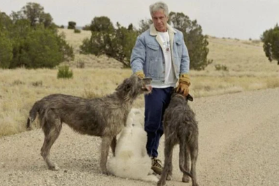 Authorities to investigate Epstein’s infamous Zorro Ranch now owned by MAGA Republican